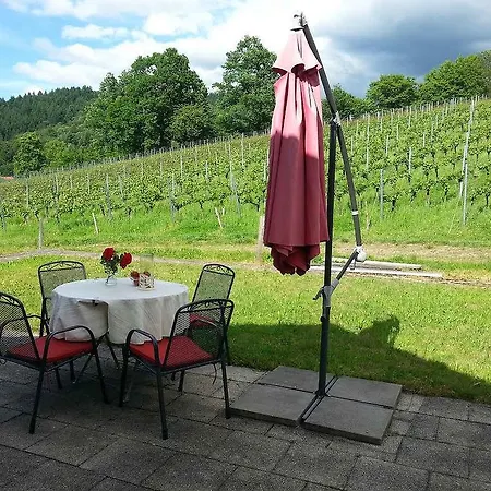 Weingut-brennerei-ferienwohnungen Eugen Wissler Διαμέρισμα